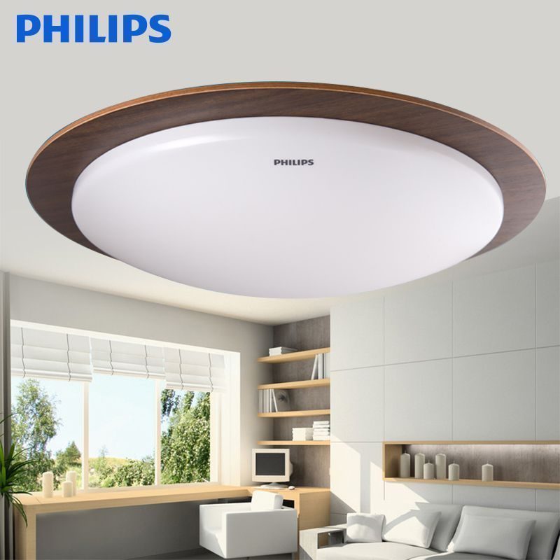 Den Led Philips 6